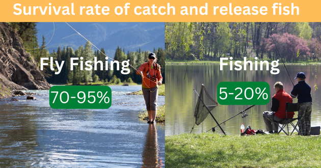 Survival rate of catch and release fish
