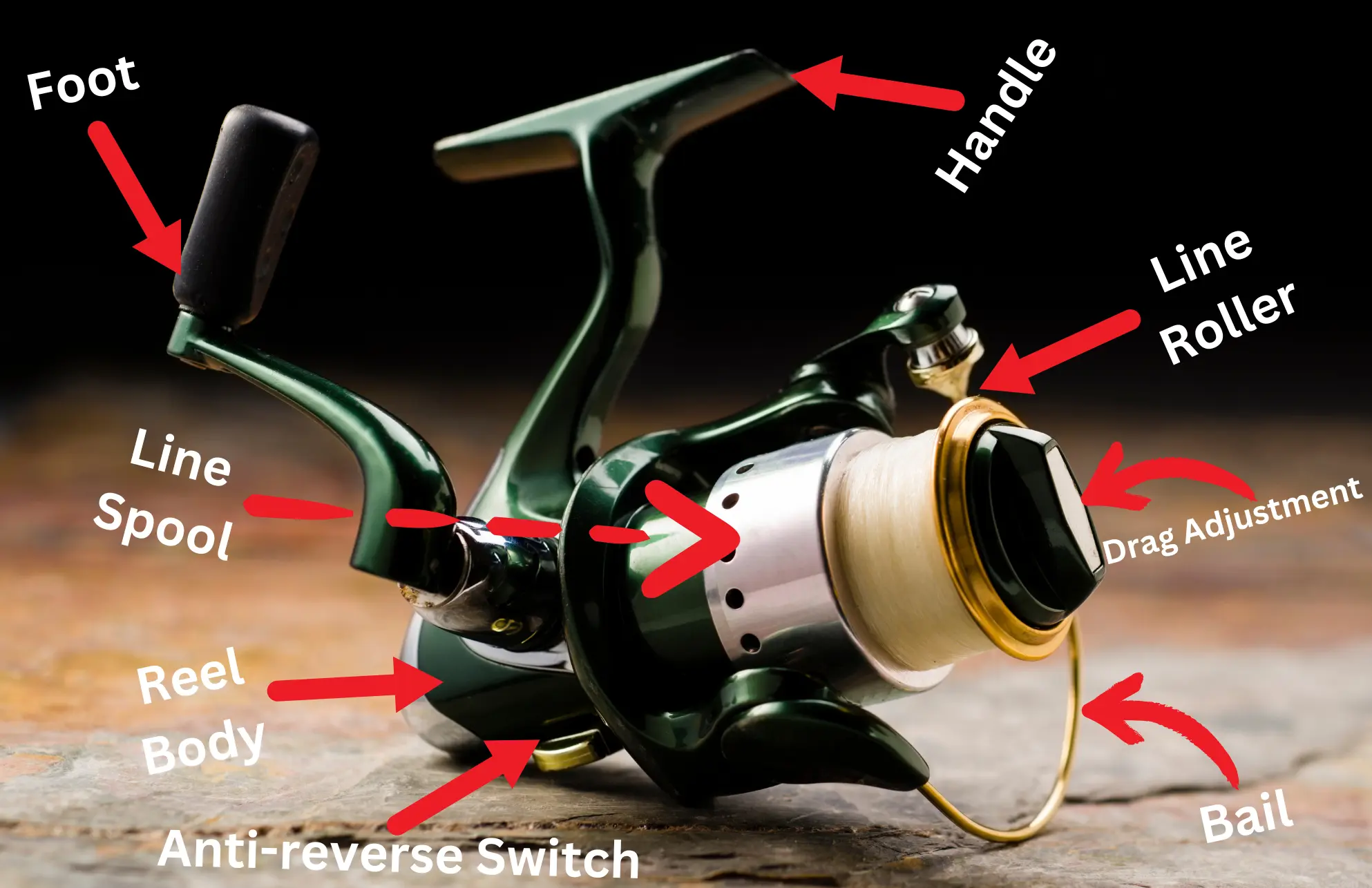 Parts Of A Fishing Reel: Know Your Gear For Success
