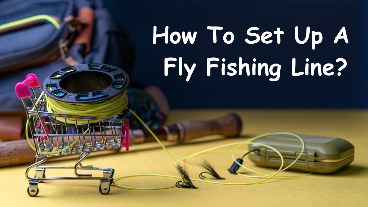 How To Set Up A Fly Fishing Line?