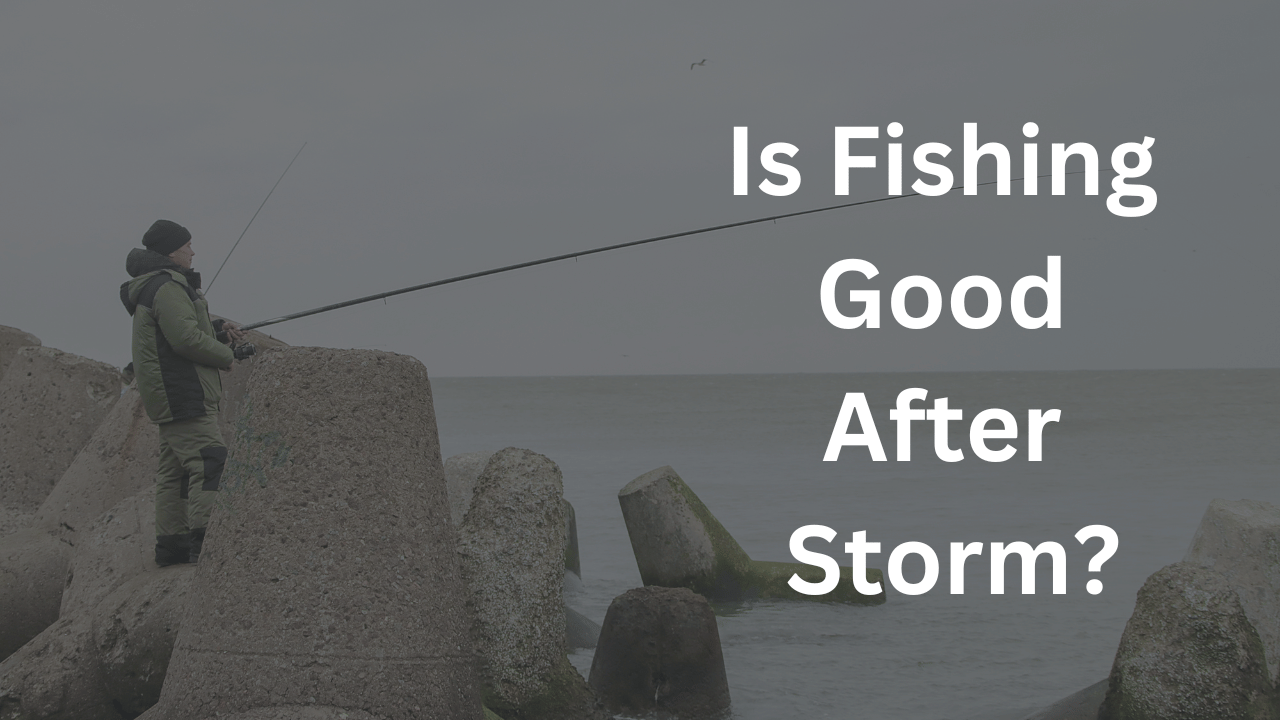 Is Fishing Good After A Storm?