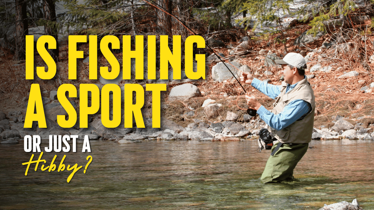 Is fishing a sport