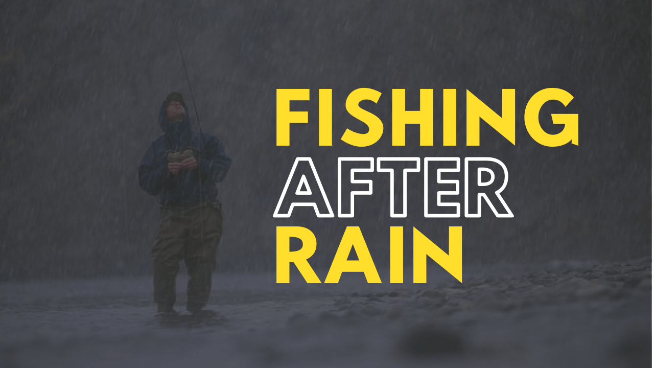 Is Fishing Good After Rain