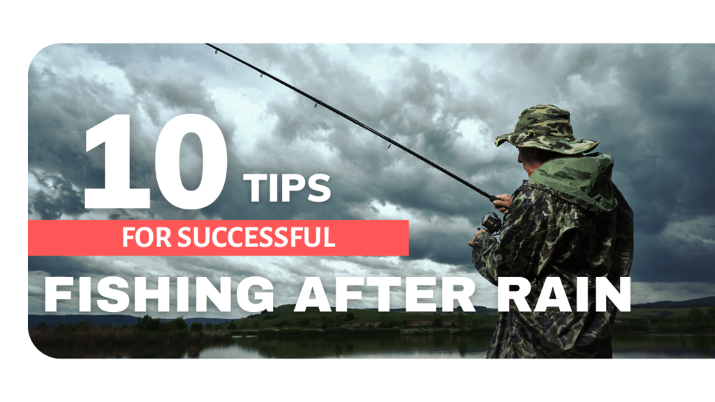 Tips for successful fishing after rain