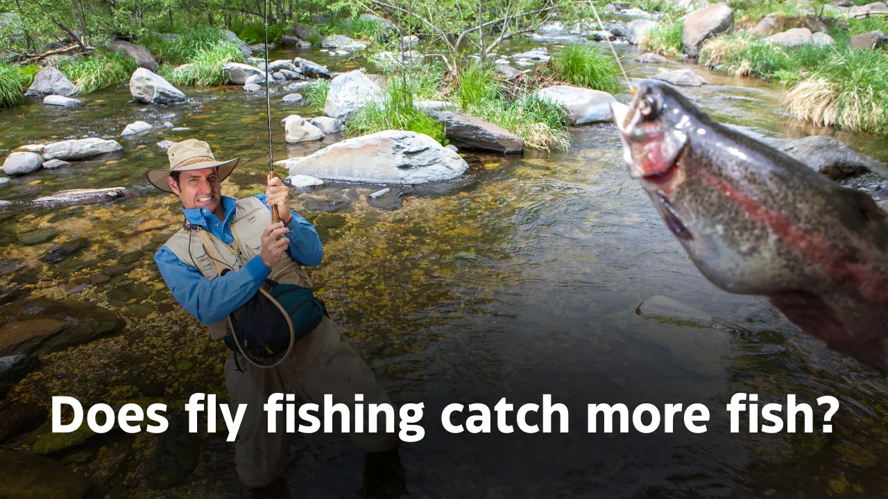 Does fly fishing catch more fish