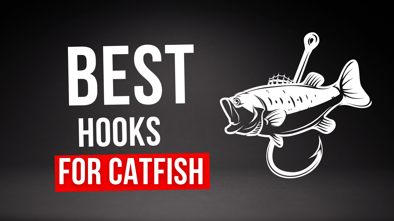 Best Hooks For Catfish