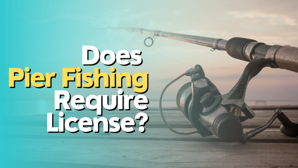 Does Pier Fishing Require License