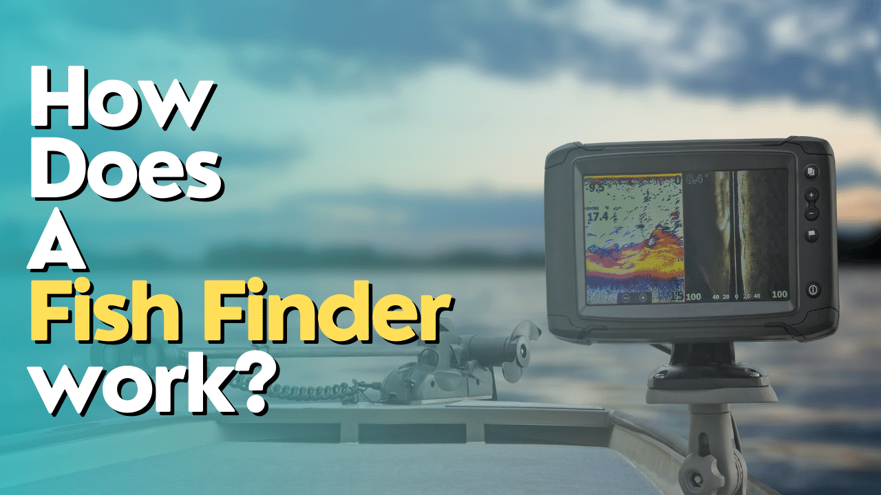 How does a fish finder work?