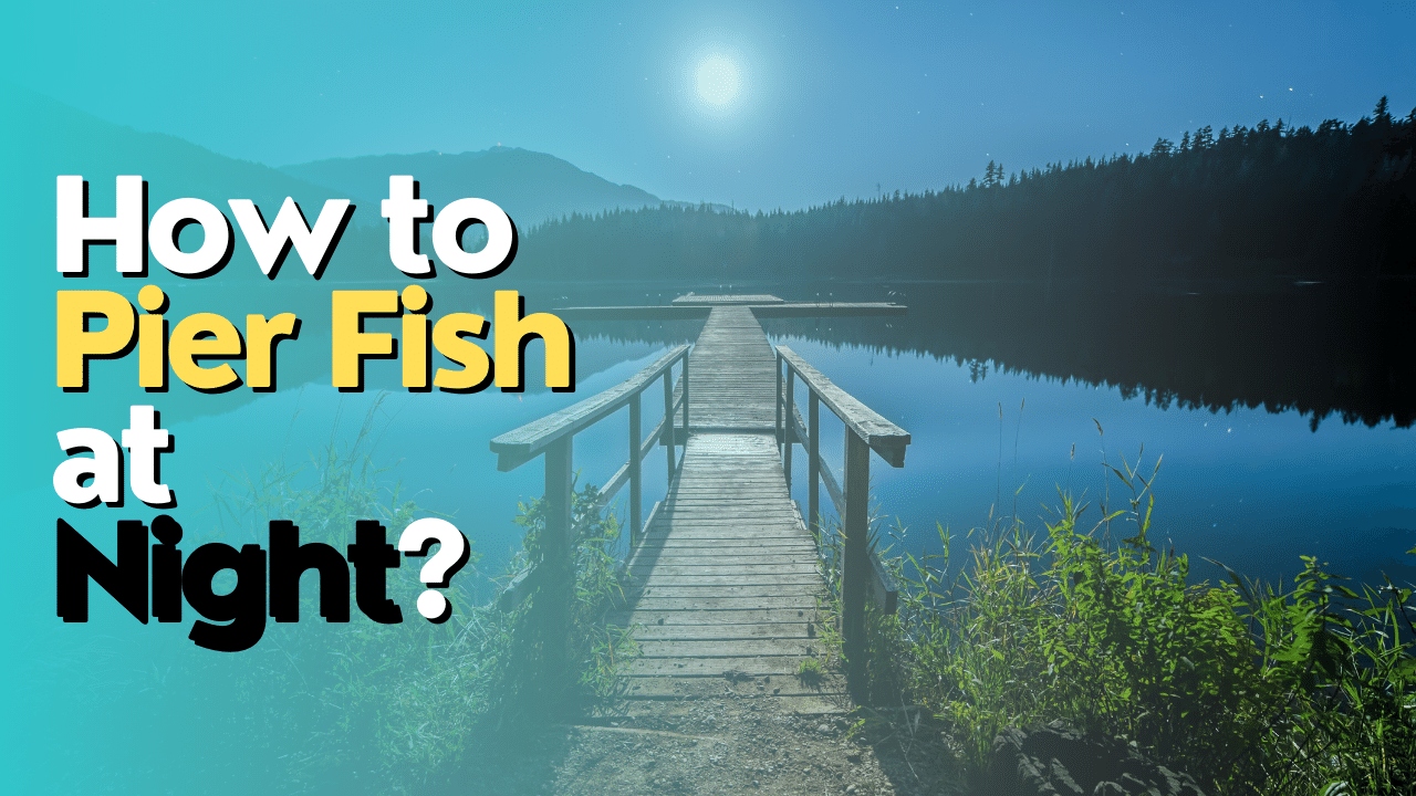 How to Pier Fish at Night?