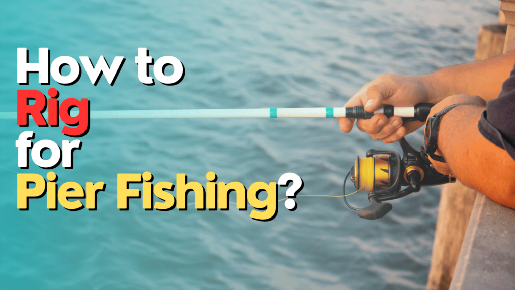 How to Rig for Pier Fishing