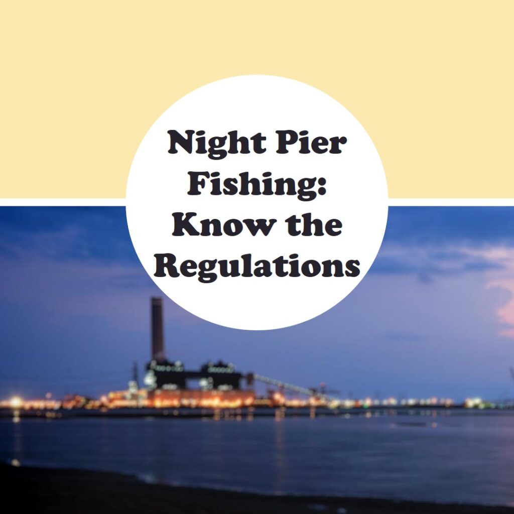 Night Pier Fishing: Local Regulations And Licensing