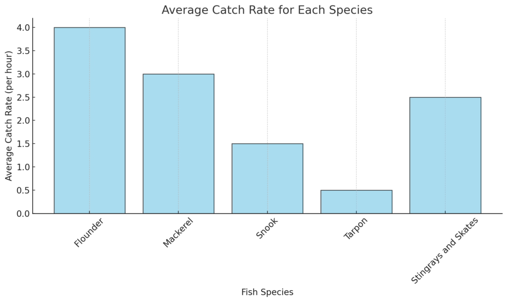 Cattch rate for night pier fishing