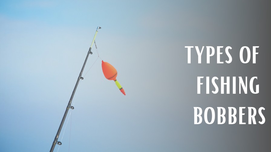Types of Fishing Bobbers
