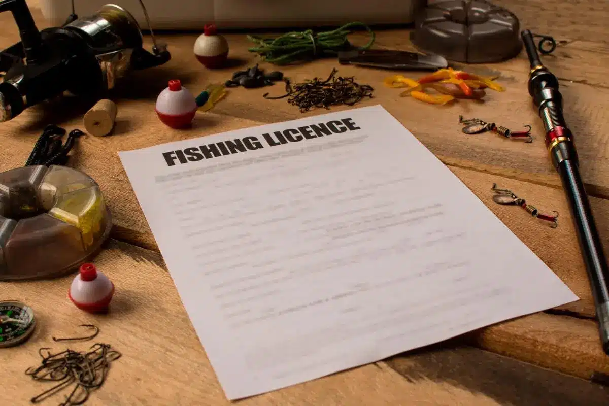 Do You Need a Fishing License for Catch and Release
